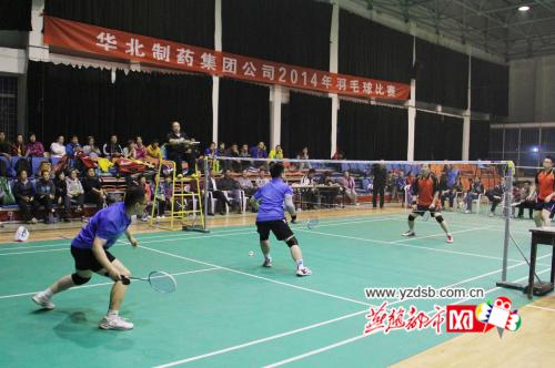 燕赵都市网：响应全民健身 mg冰球突破举办2014年羽毛球赛(图)
