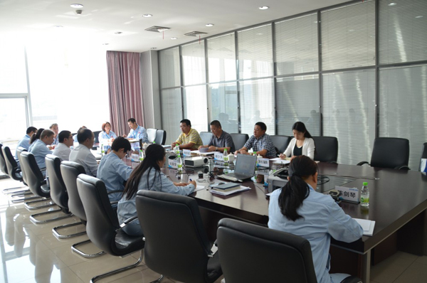 冰球突破-冰球突破豪华版_mg冰球游戏制药新制剂分厂顺利通过小容量注射剂GMP现场检查<br />