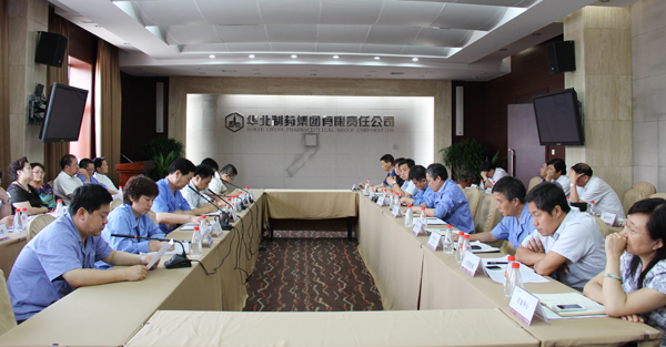 冰球突破-冰球突破豪华版_mg冰球游戏制药召开大讨论活动汇报会<br />