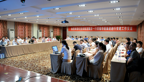 红星美凯龙与mg冰球突破交流党建工作